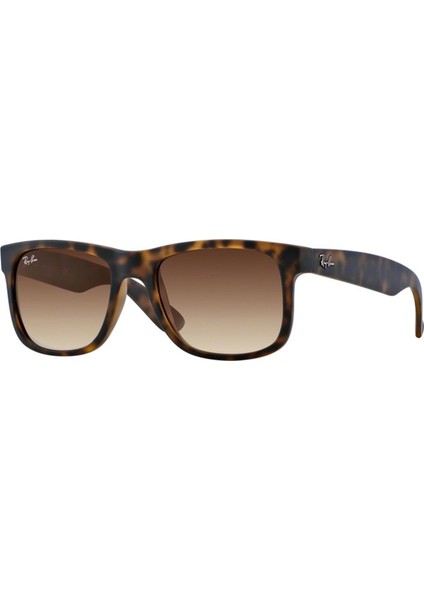 Rayban RYS/4165/710/13-55 Unisex Güneş Gözlüğü