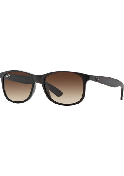 RAYBAN 4202 607313 55