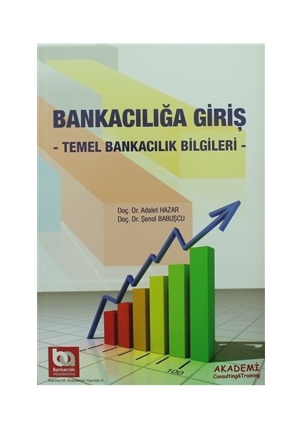 Bankacılığa Giriş
