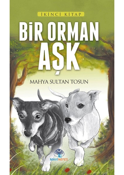 Bir Orman Aşk - Mahya Sultan Tosun