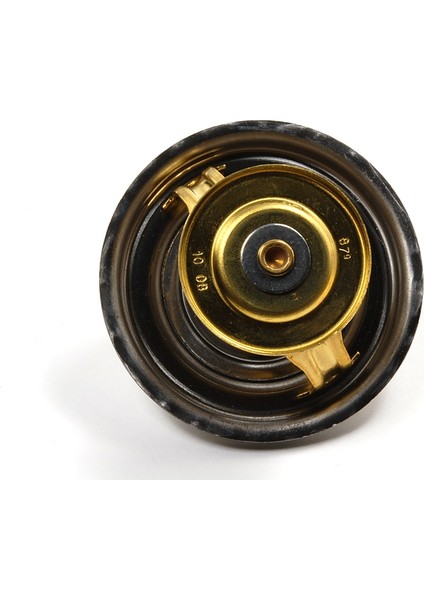 Audi A6 1995-1997 Termostat Çanakli