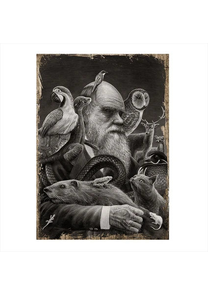 Ahşap Tablo Charles Darwin Ve Teorisi