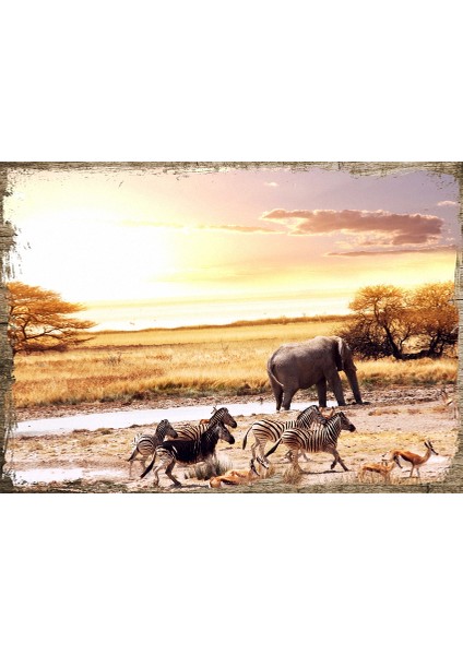 Ahşap Tablo Fil Zebra Geyik Yaban Hayat