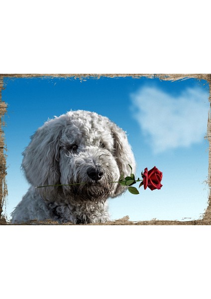Ahşap Tablo Köpek Kırmızı Gül