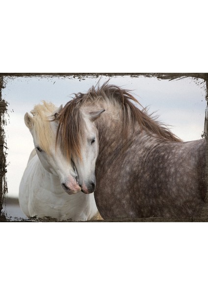 Ahşap Tablo Atların Sevgisi