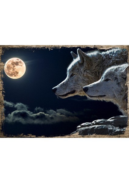 Ahşap Tablo Gecede Beyaz Kurtlar