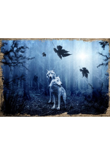 Ahşap Tablo Ormanda Beyaz Yalnız Kurtlar