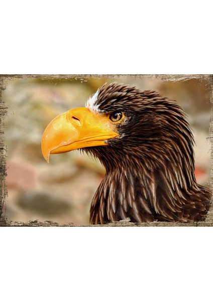 Ahşap Tablo Kartal