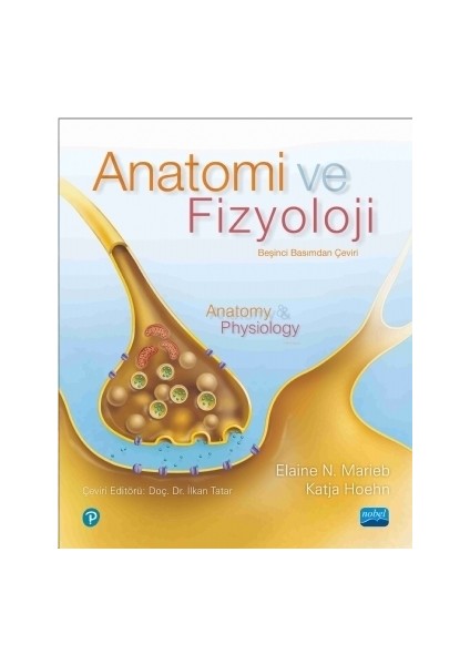 Anatomi ve Fizyoloji