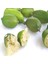 Tüplü Finger Lime Fidanı Meyve Verme Durumunda 1
