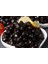 Gemlik Salamuralık Trilye Zeytin Fidanı 1 Yaş 1
