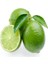 Çekirdeksiz Tahiti Lime Limequat Fidanı 2
