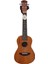 AU07L-23, Ukulele 23 İnç Winzz Fairy Series Concert 1