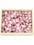 Uğur Böceği 50 Adet Uğur Böceği Yapışkanlı Pembe 1 cm * 1 cm 1