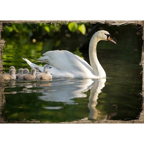 Cakasepetim Ahsap Tablo Kugu Ile Yavrulari Fiyati