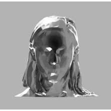 Aldım Geldi Yüz Tarama Deneyi Plastik Aparat