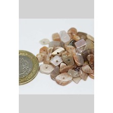 Yaşam Tohumu Delikli Güneş Taşı Mini Boy 50 Adet