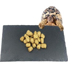 Three Beans Pet Kaplumbağa Besleme Çanak, Doğal Kaya Sürüngen Gıda Kase Peyzaj Habitat Dekor Kaplumbağa Kertenkele Sakallı Ejderha Tepeli Gecko | Besleme ve sulama Malzemeleri - (Yurt Dışından)