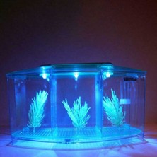 Three Beans Taşınabilir Akvaryum Mini Balık Tankı LED Işık Balık Akvaryum Tankı Bölücü Filtre Su Ev Dekor Balık Kase Sucul Balık Pet | Akvaryumlar ve Amp;tanklar - (Yurt Dışından)