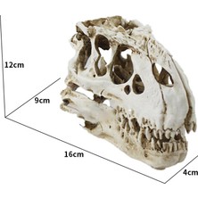 Three Beans Tyrannosaurus Rex Kafatası Mağarası Peyzaj Dekorasyon Balık Tankı Reçine Dinozor Kafatası Modeli Süslemeleri Ev Dekor | Süslemeleri - (Yurt Dışından)