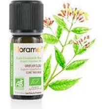 Florame Karanfıl Tohumu (Eugenıa Caryophyllus) 10 ml