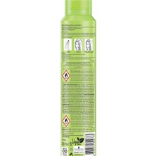 Got2B Fresh It Up Extra Fresh Kuru Şampuan 200 ml (1 Adet)