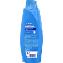 Blendax Isırgan Özlü Şampuan 500 Ml Saç Bakım Şampuanı