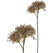 The Mia Fiorina Pıtırcık Lavanta Mor