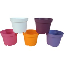 Tuğel Flowers 10 Adet 5 Renkli Plastik Saksı 10.5 Cm.lik ALT TABAKSIZ (ST2)