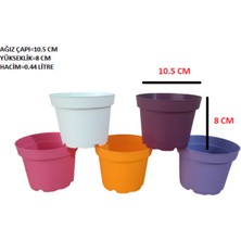 Tuğel Flowers 10 Adet 5 Renkli Plastik Saksı 10.5 Cm.lik ALT TABAKSIZ (ST2)