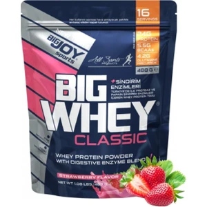 Doypack Bıgwhey Whey Protein Çilek 488g 16 Servis
