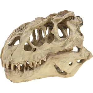 Three Beans Tyrannosaurus Rex Kafatası Mağarası Peyzaj Dekorasyon Balık Tankı Reçine Dinozor Kafatası Modeli Süslemeleri Ev Dekor | Süslemeleri - (Yurt Dışından)