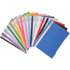 10 Renk Telli Dosya Set