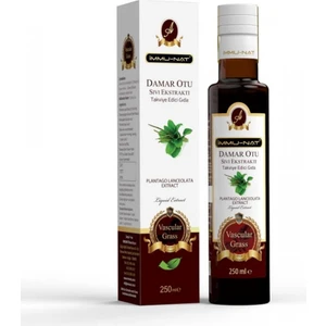 Damar Otu Sıvı Ekstraktı 250 ml