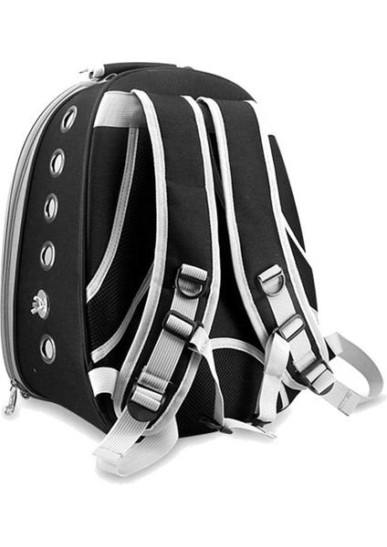 Taşınabilir Oxford Pvc Kumaş Şeffaf Kapak Hollow Tasarım Kılıfı Güvenli Papağan Kuş Seyahat Sırt Çantası Pet Sarf Malzemeleri | Kuş Kafesleri ve yuvalar - (Yurt Dışından) fiyatları
