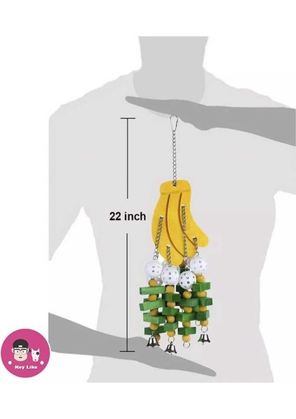 Kuş Oyuncakları Çiğneme Oyuncaklar Büyük Orta Pet Parrot Cockatiel Parakeet Renkli Ahşap Bloklar Salıncak Gıda Sınıfı Oyuncaklar | Kuş Oyuncakları - (Yurt Dışından) modelleri