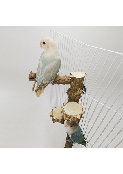 Kuş Levrek Şube Standı Oyuncak, Doğal Ahşap Papağan Tırmanma Taşlama Sopa Parrotlar Için Tünemiş | Kuş Oyuncakları - (Yurt Dışından) fırsatları