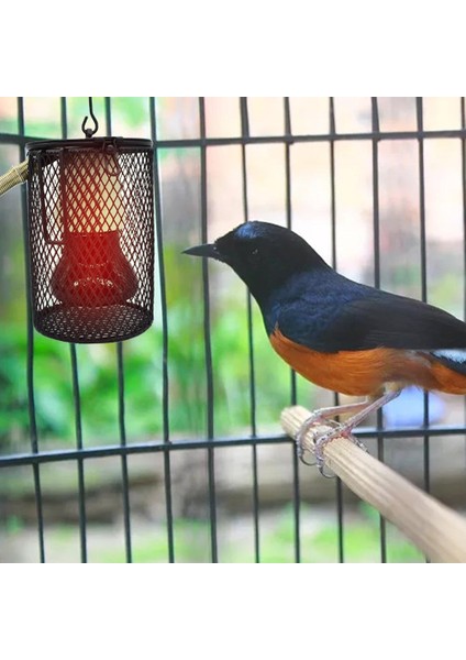 100 W Pet Isıtma Sürüngen Isı Lambası Pet Kafes Isı Yeminli Pet Coop Isıtıcı Kiti Isı Işık Ampul Pet Brooder Tavuklar Sürüngen | Birdcage Standları - (Yurt Dışından) fırsatları