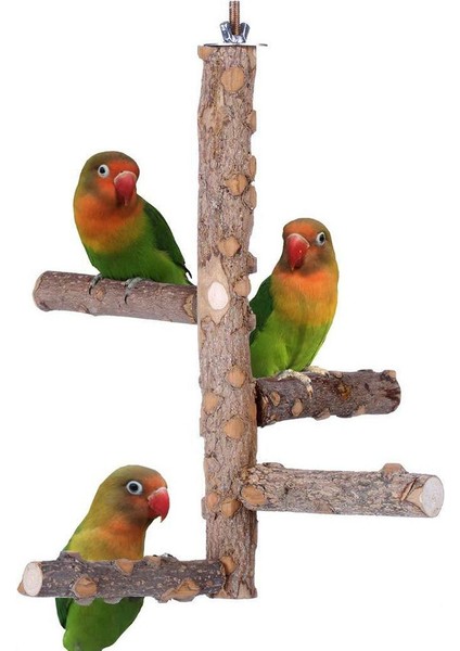 Pet Papağan Kuşlar Ayakta Sopa Ahşap Kuş Tırmanma Merdiveni Turnes Cockatiel Parakeet Pençe Taşlama Oyuncak Kuş Kafesi Aksesuarları | Kuş Oyuncakları - (Yurt Dışından)