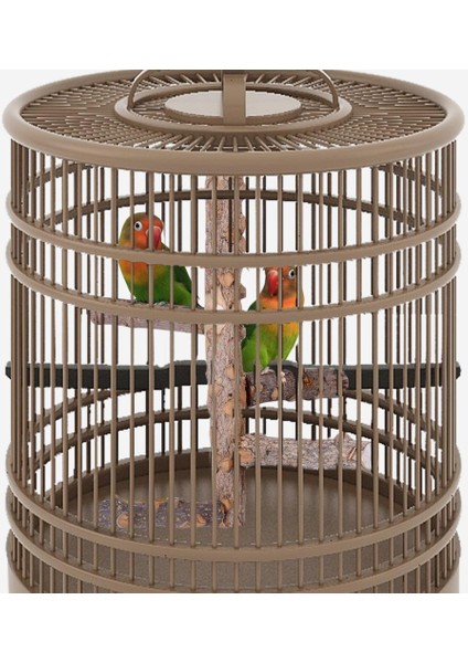 Pet Papağan Kuşlar Ayakta Sopa Ahşap Kuş Tırmanma Merdiveni Turnes Cockatiel Parakeet Pençe Taşlama Oyuncak Kuş Kafesi Aksesuarları | Kuş Oyuncakları - (Yurt Dışından) modelleri