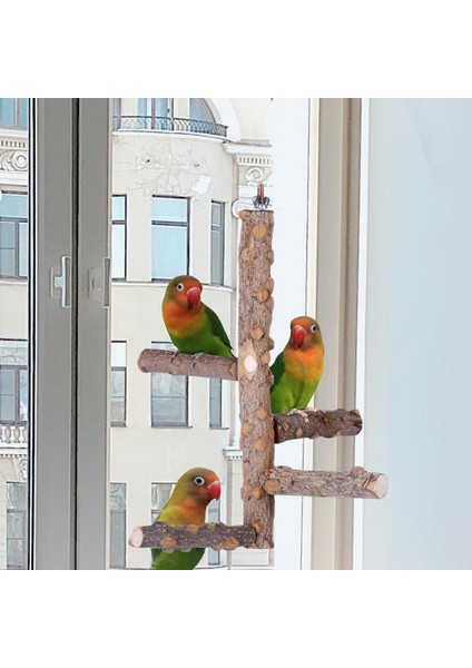 Pet Papağan Kuşlar Ayakta Sopa Ahşap Kuş Tırmanma Merdiveni Turnes Cockatiel Parakeet Pençe Taşlama Oyuncak Kuş Kafesi Aksesuarları | Kuş Oyuncakları - (Yurt Dışından) fırsatları