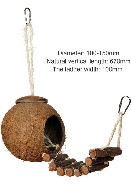 2 Tipi Sevimli Rahat Tasarım Doğal Hindistan Cevizi Kabuğu Kuş Yuvalama Evi Küçük Boy Pet Parakeet Finche Sparrows Merdivenli Kafes | Kuş Kafesleri ve yuvalar - (Yurt Dışından) modelleri