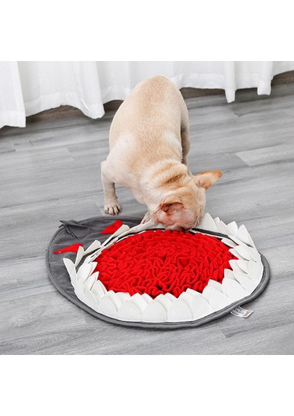 Köpekbalığı Koklama Köpek Pad Köpek Eğitim Mat Oyuncaklar Yıkanabilir Pet Koku Eğitim Battaniye Oyuncak Köpek Yavrusu Yavaş Besleme Battaniye Pet Sniff Pad - (Yurt Dışından)