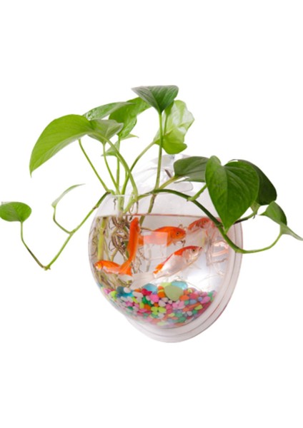 Duvar Montajı 3D Akrilik Balık Kase Akvaryum Suda Pet Betta Balık Goldfish Bitki Şeffaf Asılı Tankı Ev Dekorasyon | Akvaryumlar ve tanklar - (Yurt Dışından)