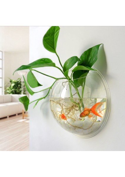 Duvar Montajı 3D Akrilik Balık Kase Akvaryum Suda Pet Betta Balık Goldfish Bitki Şeffaf Asılı Tankı Ev Dekorasyon | Akvaryumlar ve tanklar - (Yurt Dışından) fiyatları