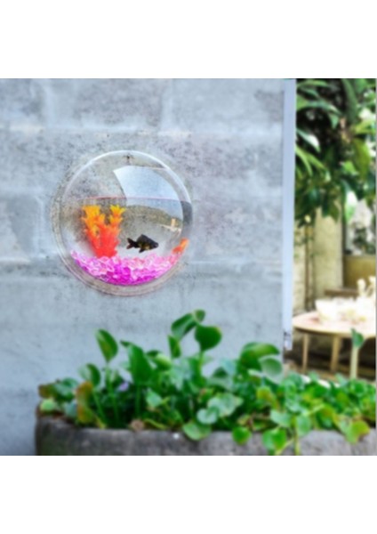 Duvar Montajı 3D Akrilik Balık Kase Akvaryum Suda Pet Betta Balık Goldfish Bitki Şeffaf Asılı Tankı Ev Dekorasyon | Akvaryumlar ve tanklar - (Yurt Dışından) fırsatları