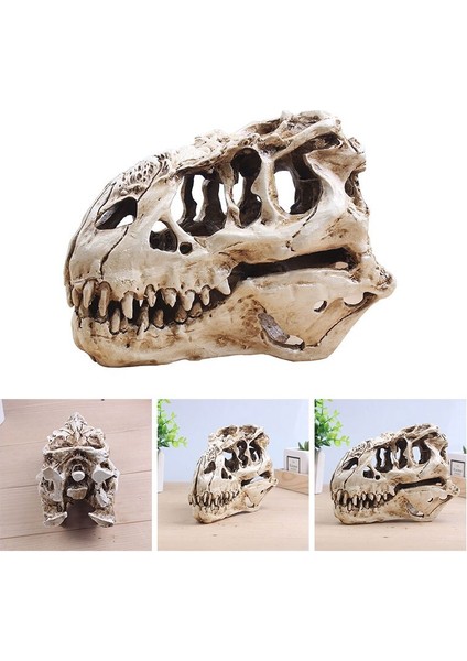 Dinozor Tyrannosaur Skull T Rex Kafatası Hediyeler Gerçekçi Reçine El Sanatları Dinozor Kafatası Fosil Öğretim Iskelet Modeli Ev Dekor | Akvaryumlar ve tanklar - (Yurt Dışından)