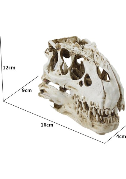 Tyrannosaurus Rex Kafatası Mağarası Peyzaj Dekorasyon Balık Tankı Reçine Dinozor Kafatası Modeli Süslemeleri Ev Dekor | Süslemeleri - (Yurt Dışından) fiyatları