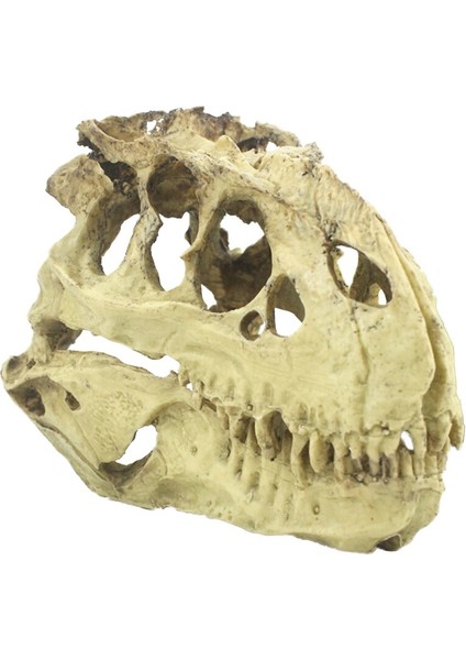 Tyrannosaurus Rex Kafatası Mağarası Peyzaj Dekorasyon Balık Tankı Reçine Dinozor Kafatası Modeli Süslemeleri Ev Dekor | Süslemeleri - (Yurt Dışından) modelleri