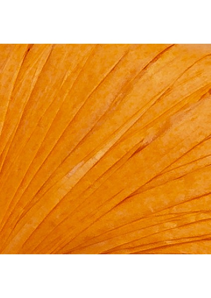 Fibra Natura Raffia 40GR Turuncu Kağıt Ip - 116-19 fiyatları
